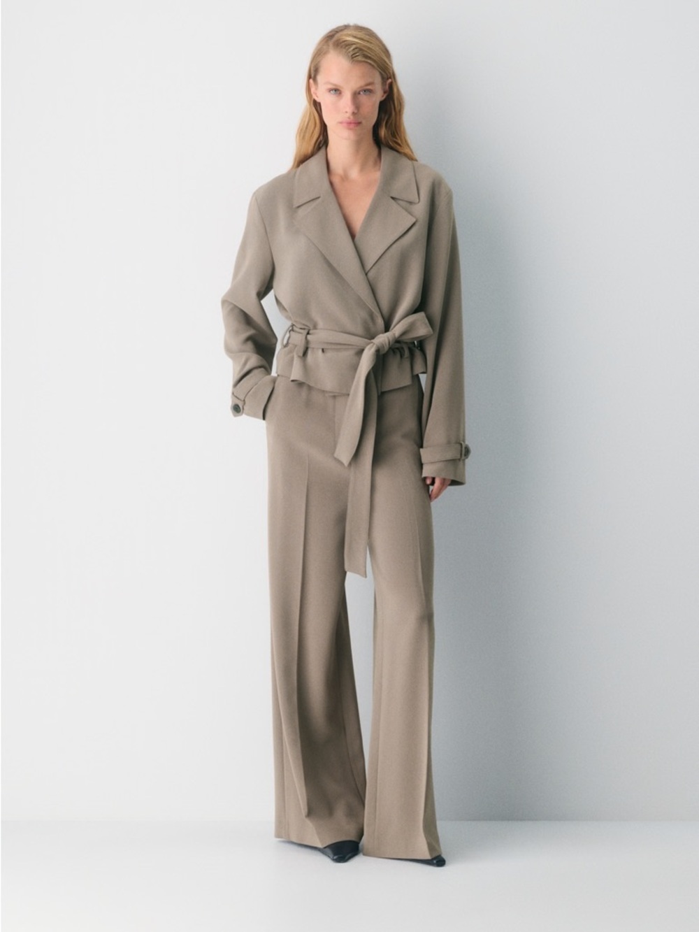 Aritzia Babaton Postage Trench Coat - Sway Crepe
